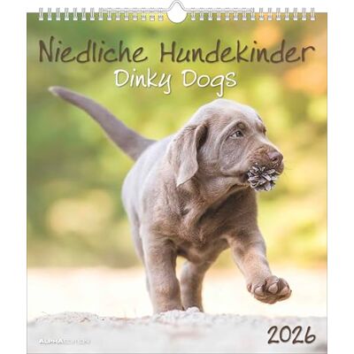 Alpha Niedliche Hundekinder Kalender 2026 – Wandkalender 30×34 cm mit 12 Welpenmotiven & 4-sprachigem Kalendarium, Tierkalender mit ... Geschenk für Hundefreunde: Dinky Dogs Alpha Niedliche Hundekinder Kalender 2026 – Wandkalender 30×34 cm mit 12 Welpenmotiven & 4-sprachigem Kalendarium, Tierkalender mit ... Geschenk für Hundefreunde: Dinky Dogs