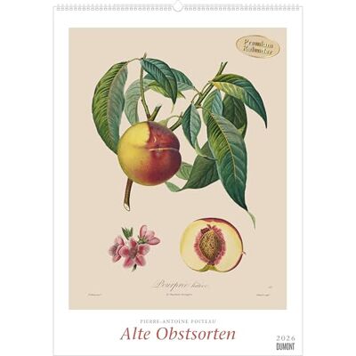 DUMONT Alte Obstsorten 2026 – Kunst-Posterkalender 50 x 70 cm mit historischen Illustrationen von Pierre Antoine Poiteau für Küche & Esszimmer DUMONT Alte Obstsorten 2026 – Kunst-Posterkalender 50 x 70 cm mit historischen Illustrationen von Pierre Antoine Poiteau für Küche & Esszimmer