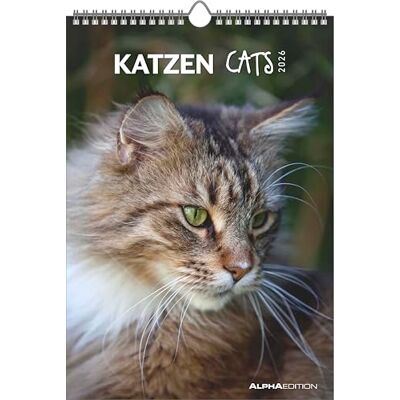 Alpha Katzen Kalender 2026 – Wandkalender 23,7×34 cm mit Katzenmotiven & Platz für Notizen, 4-sprachiges Kalendarium, dekorativer Bildkalender mit Zusatzinfos für Katzenliebhaber: Cats Alpha Katzen Kalender 2026 – Wandkalender 23,7×34 cm mit Katzenmotiven & Platz für Notizen, 4-sprachiges Kalendarium, dekorativer Bildkalender mit Zusatzinfos für Katzenliebhaber: Cats