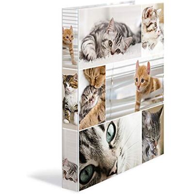 HERMA Ringbuch A4 Katzen, schmal, 2 Ringe, 35 mm breit, Kinder Ringordner mit Tier Motiv, bunter Ordner mit Innendruck für Jungen und Mädchen HERMA Ringbuch A4 Katzen, schmal, 2 Ringe, 35 mm breit, Kinder Ringordner mit Tier Motiv, bunter Ordner mit Innendruck für Jungen und Mädchen