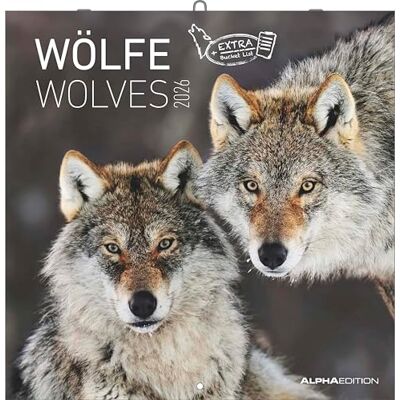 Alpha Wölfe Kalender 2026 – Wandkalender & Bildkalender 30x30 cm (30x60 cm geöffnet) mit faszinierenden Wolfsfotografien, für Naturfreunde & Tierliebhaber: Wolves Alpha Wölfe Kalender 2026 – Wandkalender & Bildkalender 30x30 cm (30x60 cm geöffnet) mit faszinierenden Wolfsfotografien, für Naturfreunde & Tierliebhaber: Wolves