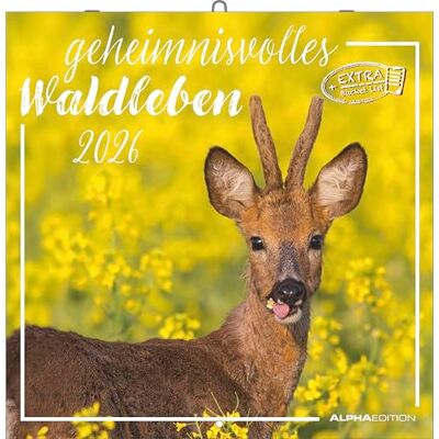 Alpha Geheimnisvolles Waldleben Kalender 2026 – Wandkalender 30x30 cm – Für Naturliebhaber – 12 beeindruckende Waldtier-Fotografien, viel ... Feiertagen & Ferienterminen: Forest Animals Alpha Geheimnisvolles Waldleben Kalender 2026 – Wandkalender 30x30 cm – Für Naturliebhaber – 12 beeindruckende Waldtier-Fotografien, viel ... Feiertagen & Ferienterminen: Forest Animals