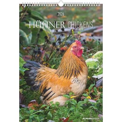 Alpha Hühner 2026 – Wandkalender A3 (30×42 cm) mit 12 liebevollen Fotografien verschiedener Hühnerrassen, dekorativer Bauernhof-Kalender für Tierliebhaber, Hobby-Bauern & Landleben-Fans Alpha Hühner 2026 – Wandkalender A3 (30×42 cm) mit 12 liebevollen Fotografien verschiedener Hühnerrassen, dekorativer Bauernhof-Kalender für Tierliebhaber, Hobby-Bauern & Landleben-Fans