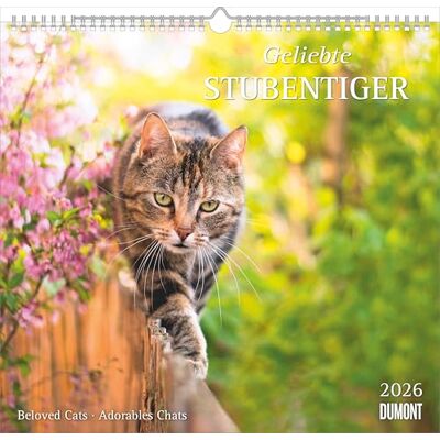 DUMONT Geliebte Stubentiger 2026 – Wandkalender 38 x 36cm mit 12 Katzenmotiven, dekorativer Tierkalender für Katzenliebhaber: Beloved Cats Adorables Chats DUMONT Geliebte Stubentiger 2026 – Wandkalender 38 x 36cm mit 12 Katzenmotiven, dekorativer Tierkalender für Katzenliebhaber: Beloved Cats Adorables Chats