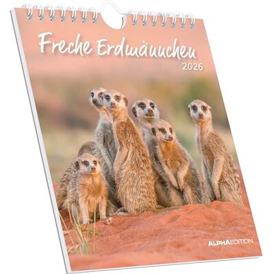 Alpha Freche Erdmännchen 2026 – Postkartenkalender 16×17 cm mit 53 witzigen Motiven, dekorativer Tisch- & Wandkalender auf FSC-Papier, zum Verschicken, Sammeln & Verschenken Alpha Freche Erdmännchen 2026 – Postkartenkalender 16×17 cm mit 53 witzigen Motiven, dekorativer Tisch- & Wandkalender auf FSC-Papier, zum Verschicken, Sammeln & Verschenken