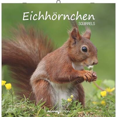 Alpha Eichhörnchen 2026 – Broschürenkalender 30×30 cm mit Notizkalendarium, 12 naturverbundene Tiermotive, dekorativer Wandkalender & praktischer Terminplaner für Natur- und Tierliebhaber Alpha Eichhörnchen 2026 – Broschürenkalender 30×30 cm mit Notizkalendarium, 12 naturverbundene Tiermotive, dekorativer Wandkalender & praktischer Terminplaner für Natur- und Tierliebhaber