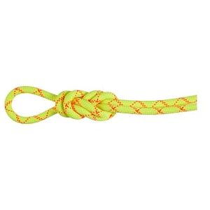 Mammut 9.5 Alpine Core Protect Dry Seil 80 m – Robustes Kletterseil, wasserabweisend & Abriebfest, ideal für Alpin-, Sportklettern & Bergsteigen Mammut 9.5 Alpine Core Protect Dry Seil 80 m – Robustes Kletterseil, wasserabweisend & Abriebfest, ideal für Alpin-, Sportklettern & Bergsteigen