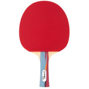 GEWO SMASH Tischtennisschläger – ITTF-zugelassener Allround-Tischtennis Schläger für Kinder & Jugendliche – Leicht & ausgen mit Thunderball 2 Belag für Kontrolle & Spin –Ideal für erste Wettkämpfe GEWO SMASH Tischtennisschläger – ITTF-zugelassener Allround-Tischtennis Schläger für Kinder & Jugendliche – Leicht & ausgen mit Thunderball 2 Belag für Kontrolle & Spin –Ideal für erste Wettkämpfe