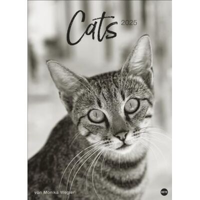 Heye Cats Edition Kalender 2025: Elegante Samtpfoten in schwarz-weiß in einem XXL-Kalender. Tierkalender 2025 im Großformat. Hochwertiger großer Fotokalender für Katzenfans. Heye Cats Edition Kalender 2025: Elegante Samtpfoten in schwarz-weiß in einem XXL-Kalender. Tierkalender 2025 im Großformat. Hochwertiger großer Fotokalender für Katzenfans.