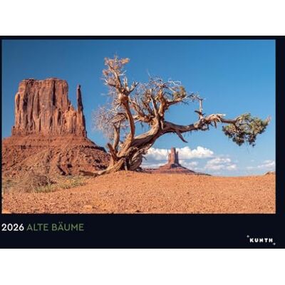 KUNTH Alte Bäume, Sinnbilder des Lebens Wandkalender 2026: Hochwertiger, bildstarker Kalender mit Spiralbindung im Großformat ( Wandkalender Black Edition 60 x 45 cm) KUNTH Alte Bäume, Sinnbilder des Lebens Wandkalender 2026: Hochwertiger, bildstarker Kalender mit Spiralbindung im Großformat ( Wandkalender Black Edition 60 x 45 cm)