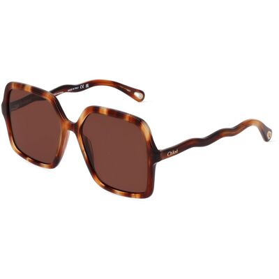 Kering Eyewear Spa Chloé CH0086S Damen-Sonnenbrille Vollrand Quadratisch Acetat-Gestell, Havanna Kering Eyewear Spa Chloé CH0086S Damen-Sonnenbrille Vollrand Quadratisch Acetat-Gestell, Havanna