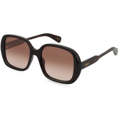 Kering Eyewear Spa Chloé CH0222S Unisex-Sonnenbrille Vollrand Quadratisch Acetat-Gestell, Havanna Kering Eyewear Spa Chloé CH0222S Unisex-Sonnenbrille Vollrand Quadratisch Acetat-Gestell, Havanna
