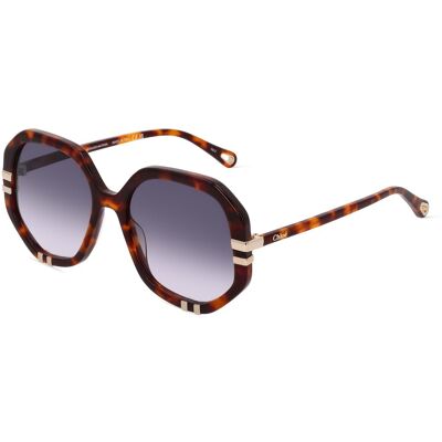 Kering Eyewear Spa Chloé CH0105S Unisex-Sonnenbrille Vollrand Geometrisch Acetat-Gestell, Havanna Kering Eyewear Spa Chloé CH0105S Unisex-Sonnenbrille Vollrand Geometrisch Acetat-Gestell, Havanna