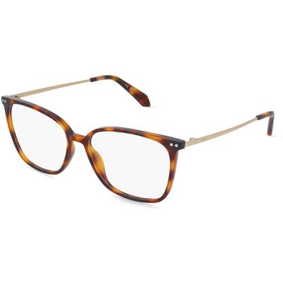 Safilo GmbH Polaroid PLD D616 Damen-Brille inkl. Gläser Vollrand Quadratisch Kunststoff-Gestell 55/15/140, Havanna Safilo GmbH Polaroid PLD D616 Damen-Brille inkl. Gläser Vollrand Quadratisch Kunststoff-Gestell 55/15/140, Havanna