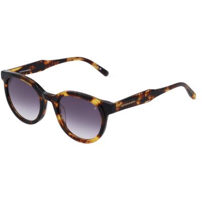 Design Eyewear Group Germany GmbH Scotch & Soda SS 8016 Unisex-Sonnenbrille Vollrand Panto Kunststoff-Gestell, Havanna Design Eyewear Group Germany GmbH Scotch & Soda SS 8016 Unisex-Sonnenbrille Vollrand Panto Kunststoff-Gestell, Havanna