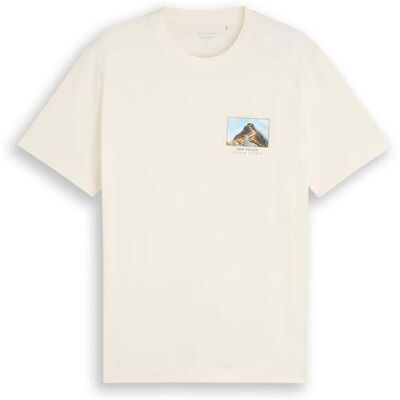 TOM TAILOR Herren T-Shirt mit Print, braun, Uni, Gr. XXL TOM TAILOR Herren T-Shirt mit Print, braun, Uni, Gr. XXL