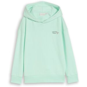 TOM TAILOR Jungen Oversize Hoodie Sweatshirt mit Rückenprint, grün, Uni, Gr. 92/98 TOM TAILOR Jungen Oversize Hoodie Sweatshirt mit Rückenprint, grün, Uni, Gr. 92/98