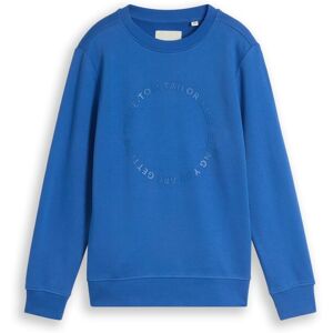 TOM TAILOR Jungen Basic Sweatshirt mit Print, blau, Uni, Gr. 164 TOM TAILOR Jungen Basic Sweatshirt mit Print, blau, Uni, Gr. 164