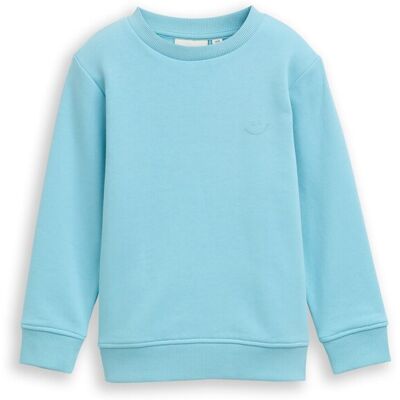TOM TAILOR Jungen Basic Sweatshirt mit Print, blau, Uni, Gr. 92/98 TOM TAILOR Jungen Basic Sweatshirt mit Print, blau, Uni, Gr. 92/98