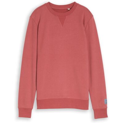 TOM TAILOR Jungen Basic Sweatshirt, rot, Uni, Gr. 176 TOM TAILOR Jungen Basic Sweatshirt, rot, Uni, Gr. 176