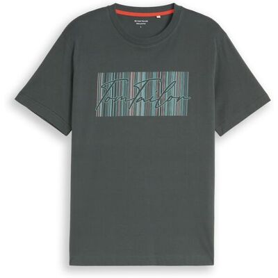 TOM TAILOR Herren T-Shirt mit Logo-Print, grün, Uni, Gr. XXXL TOM TAILOR Herren T-Shirt mit Logo-Print, grün, Uni, Gr. XXXL