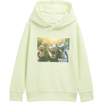 TOM TAILOR Jungen Hoodie Sweatshirt mit Print, grün, Uni, Gr. 92/98 TOM TAILOR Jungen Hoodie Sweatshirt mit Print, grün, Uni, Gr. 92/98