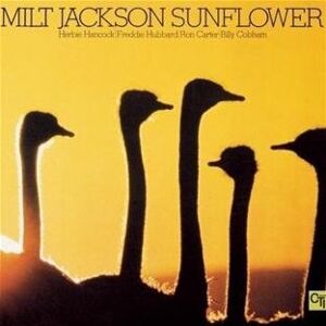 Jackson Sunflower - Preis vom 11.06.2026 05:43:19 h Jackson Sunflower - Preis vom 11.06.2026 05:43:19 h
