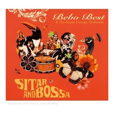 Super Sitar and Bossa - Preis vom 08.09.2026 16:12:08 h Super Sitar and Bossa - Preis vom 08.09.2026 16:12:08 h