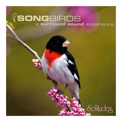 Gibson Songbirds - Preis vom 08.09.2026 16:12:08 h Gibson Songbirds - Preis vom 08.09.2026 16:12:08 h
