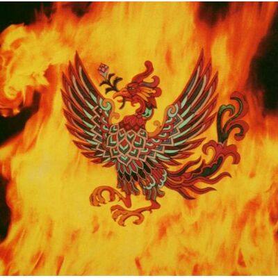 Funk Phoenix - Preis vom 08.09.2026 16:12:08 h Funk Phoenix - Preis vom 08.09.2026 16:12:08 h