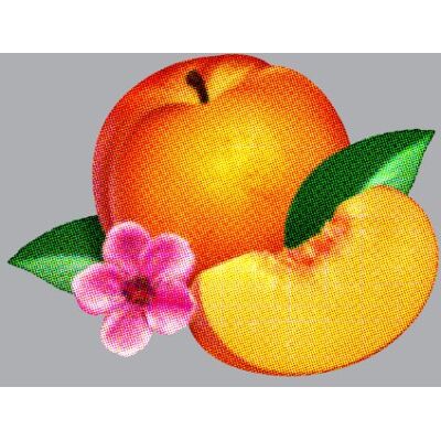 Phoenix Bankrupt! - Preis vom 08.09.2026 16:12:08 h Phoenix Bankrupt! - Preis vom 08.09.2026 16:12:08 h