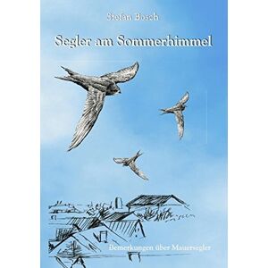Bosch Segler am Sommerhimmel: Bemerkungen über Mauersegler - Preis vom 13.06.2026 05:28:29 h Bosch Segler am Sommerhimmel: Bemerkungen über Mauersegler - Preis vom 13.06.2026 05:28:29 h