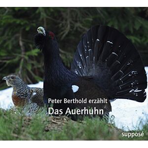 Peter Berthold - Das Auerhuhn: Peter Berthold erzählt - Preis vom 16.06.2026 05:30:18 h Peter Berthold - Das Auerhuhn: Peter Berthold erzählt - Preis vom 16.06.2026 05:30:18 h