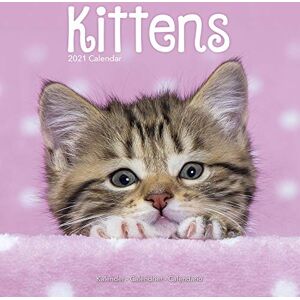 Kittens 2021 Wall Calendar - Preis vom 12.06.2026 05:40:31 h Kittens 2021 Wall Calendar - Preis vom 12.06.2026 05:40:31 h