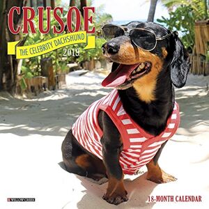 Crusoe the Celebrity Dachshund Mini 2019 Wall Calendar (Dog Breed Calendar) - Preis vom 16.06.2026 05:30:18 h Crusoe the Celebrity Dachshund Mini 2019 Wall Calendar (Dog Breed Calendar) - Preis vom 16.06.2026 05:30:18 h