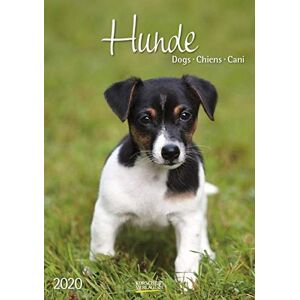 Korsch Verlag - Hunde 2020 - Preis vom 11.06.2026 05:43:19 h Korsch Verlag - Hunde 2020 - Preis vom 11.06.2026 05:43:19 h
