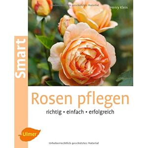 Henry Klein - Rosen pflegen: Richtig, einfach, erfolgreich (Smart Gartenbuch) - Preis vom 11.06.2026 05:43:19 h Henry Klein - Rosen pflegen: Richtig, einfach, erfolgreich (Smart Gartenbuch) - Preis vom 11.06.2026 05:43:19 h