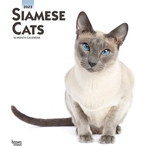 Siamese Cats 2023 Square - Preis vom 13.06.2026 05:28:29 h Siamese Cats 2023 Square - Preis vom 13.06.2026 05:28:29 h