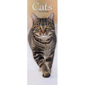 Cats 2021 Slim Calendar - Preis vom 14.06.2026 05:24:48 h Cats 2021 Slim Calendar - Preis vom 14.06.2026 05:24:48 h