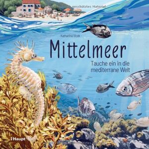 Katharina Vlcek - Mittelmeer: Tauche ein in die mediterrane Welt - Preis vom 16.06.2026 05:30:18 h Katharina Vlcek - Mittelmeer: Tauche ein in die mediterrane Welt - Preis vom 16.06.2026 05:30:18 h