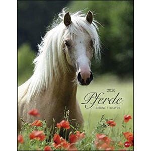 Sabine Stuewer - Pferde Classics 2020 34x44cm - Preis vom 12.06.2026 05:40:31 h Sabine Stuewer - Pferde Classics 2020 34x44cm - Preis vom 12.06.2026 05:40:31 h