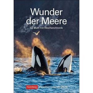Markus Hattstein, Thomas Huhnold - Wunder der Meere Wochenplaner 2024: 53 Blatt mit Wochenchronik - Preis vom 10.06.2026 05:35:22 h Markus Hattstein, Thomas Huhnold - Wunder der Meere Wochenplaner 2024: 53 Blatt mit Wochenchronik - Preis vom 10.06.2026 05:35:22 h