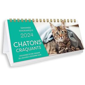 Editions 365 - Chatons craquants 2024 : organisez votre semaine de janvier à décembre 2024 - Preis vom 12.06.2026 05:40:31 h Editions 365 - Chatons craquants 2024 : organisez votre semaine de janvier à décembre 2024 - Preis vom 12.06.2026 05:40:31 h