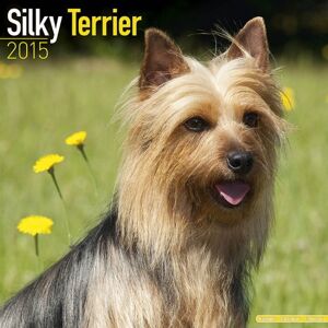Silky Terrier 2015 - Preis vom 11.06.2026 05:43:19 h Silky Terrier 2015 - Preis vom 11.06.2026 05:43:19 h