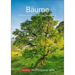Roland Bäume Wochenplaner 2024: 53 Blatt mit Zitaten und Wochenchronik - Preis vom 12.06.2026 05:40:31 h Roland Bäume Wochenplaner 2024: 53 Blatt mit Zitaten und Wochenchronik - Preis vom 12.06.2026 05:40:31 h