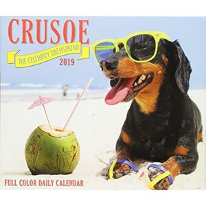 Crusoe the Celebrity Dachshund 2019 Box Calendar (Dog Breed Calendar) - Preis vom 11.06.2026 05:43:19 h Crusoe the Celebrity Dachshund 2019 Box Calendar (Dog Breed Calendar) - Preis vom 11.06.2026 05:43:19 h