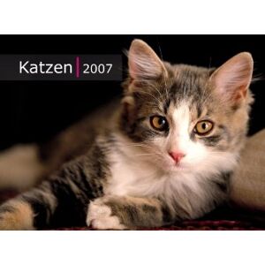 Katzen 2008 - Preis vom 12.06.2026 05:40:31 h Katzen 2008 - Preis vom 12.06.2026 05:40:31 h