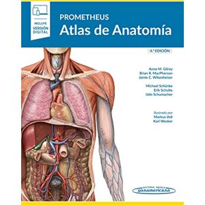 Gilroy, Anne M. - Prometheus. Atlas de Anatomía 4º ed (+ ebook) - Preis vom 14.06.2026 05:24:48 h Gilroy, Anne M. - Prometheus. Atlas de Anatomía 4º ed (+ ebook) - Preis vom 14.06.2026 05:24:48 h