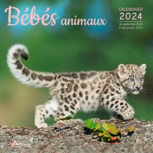 Artémis - Bébés animaux : calendrier 2024 : de septembre 2023 à décembre 2024 - Preis vom 13.06.2026 05:28:29 h Artémis - Bébés animaux : calendrier 2024 : de septembre 2023 à décembre 2024 - Preis vom 13.06.2026 05:28:29 h