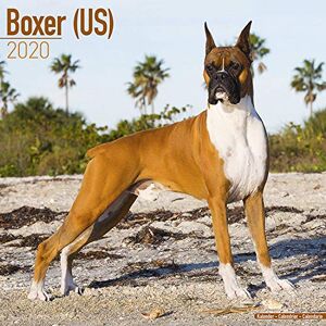 Avonside Publishing Ltd - Avonside Publishing Ltd: Boxer (US) Calendar 2020 - Preis vom 15.06.2026 05:30:30 h Avonside Publishing Ltd - Avonside Publishing Ltd: Boxer (US) Calendar 2020 - Preis vom 15.06.2026 05:30:30 h